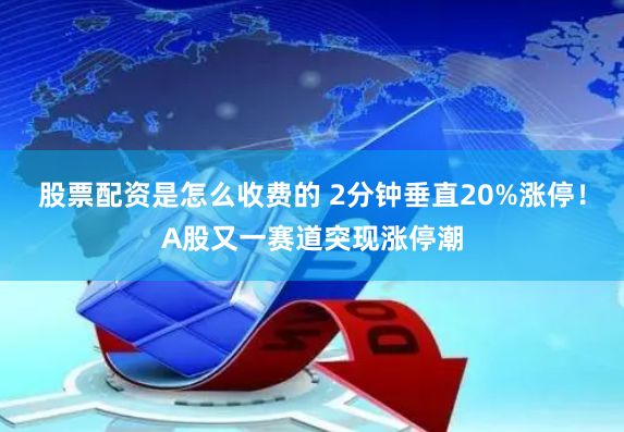 股票配资是怎么收费的 2分钟垂直20%涨停！A股又一赛道突现涨停潮
