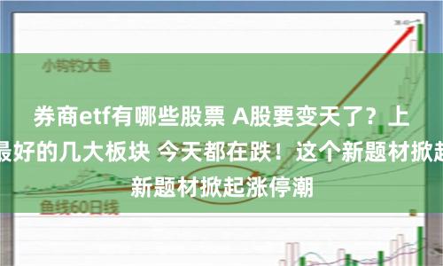 券商etf有哪些股票 A股要变天了？上周表现最好的几大板块 今天都在跌！这个新题材掀起涨停潮